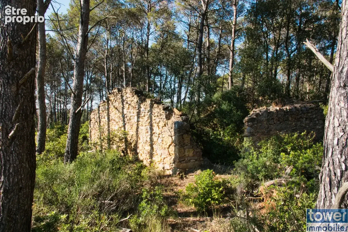 Fabrezan-Terrain 4 ha non constructible en Zone Naturelle - photo 5