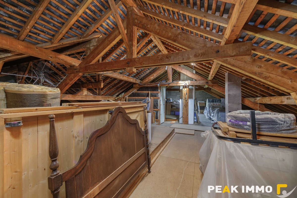 Maison - 150m2 - Terrain - 3223m2 - LA BALME DE SILLINGY - photo 11