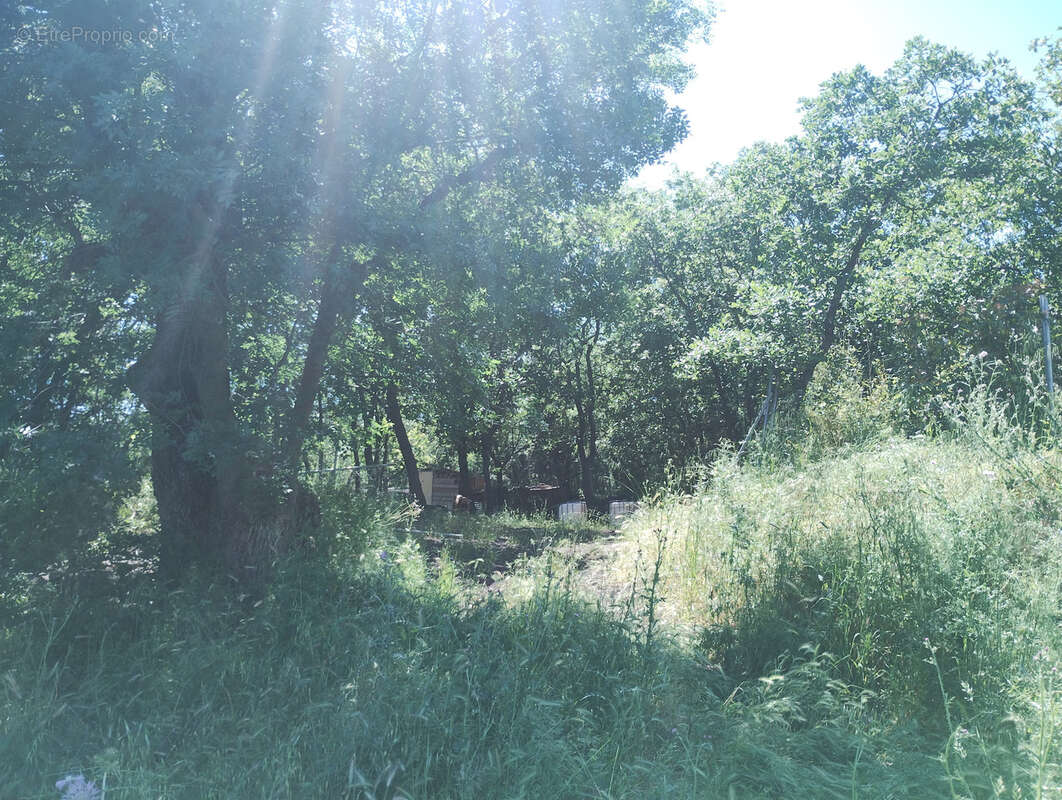 Vends terrain agricole et de loisirs 15 929 m2 - 34800 La Coste - photo 10