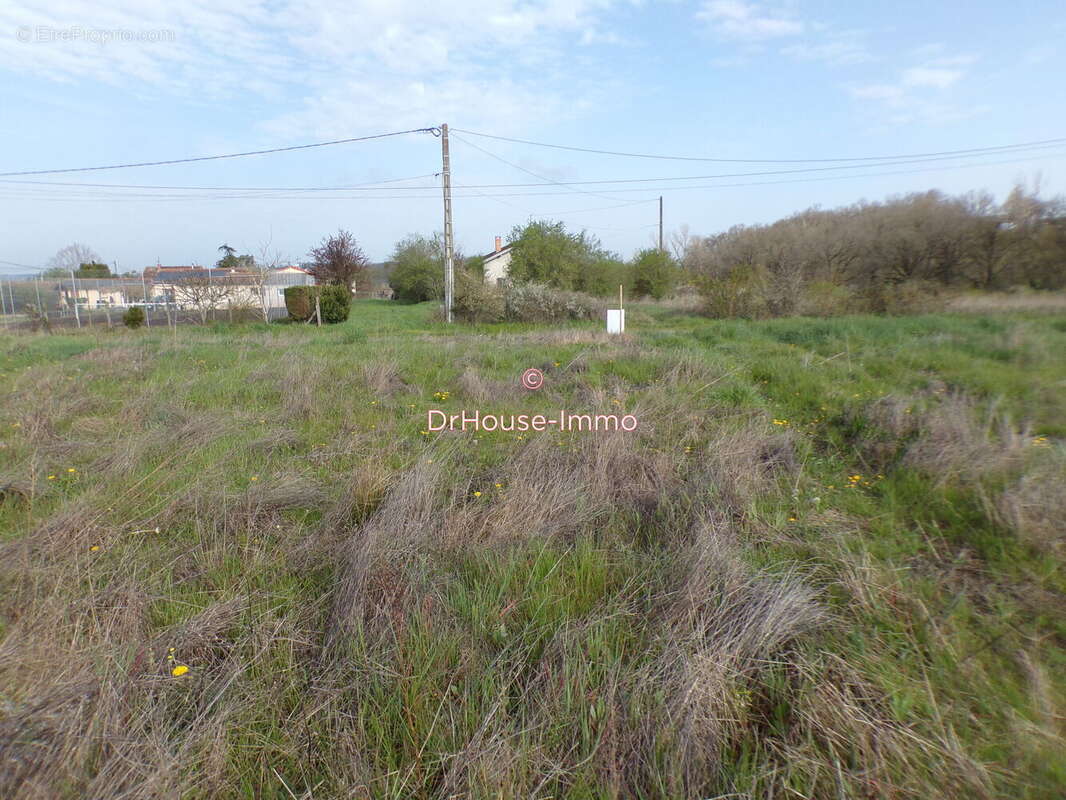 Terrain 918 m² à Graulhet  - photo 4
