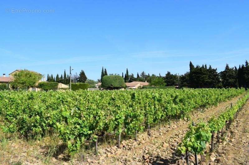 Terrain à ESTEZARGUES