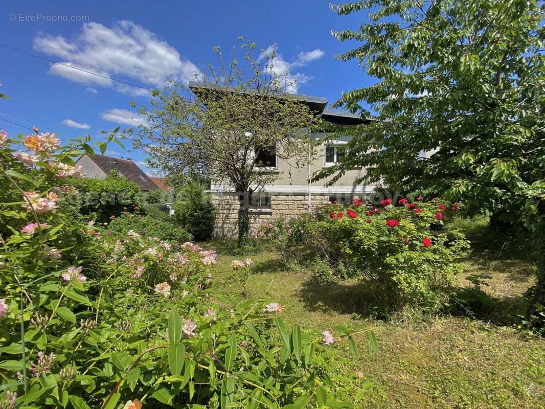 IMG_6165 - Maison à BRUNOY