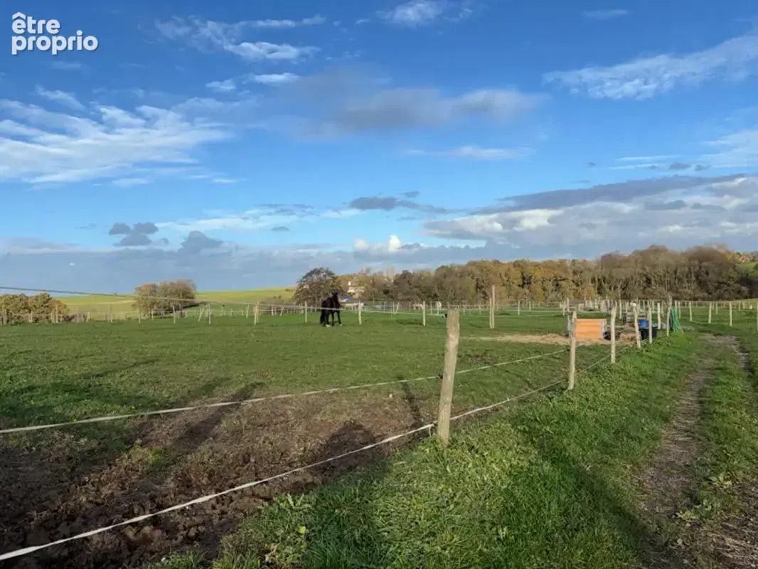 Propriété equestre Saint Romain De Colbosc - photo 9