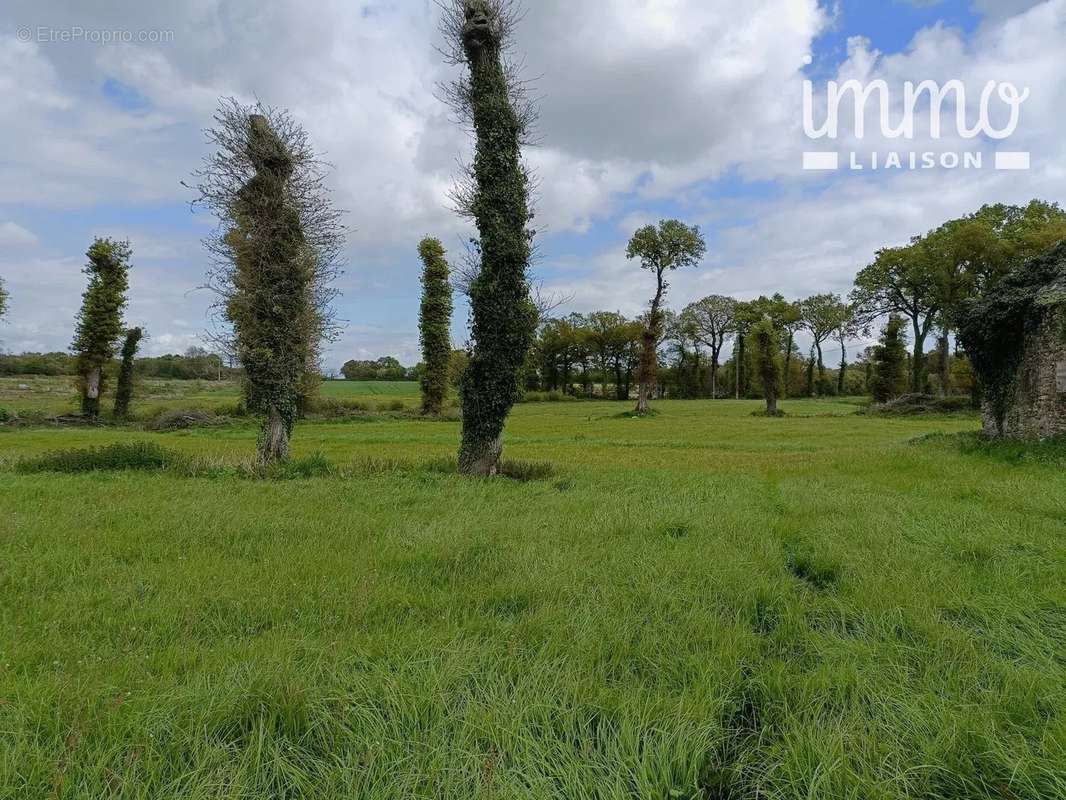 Maison à LES BRULAIS