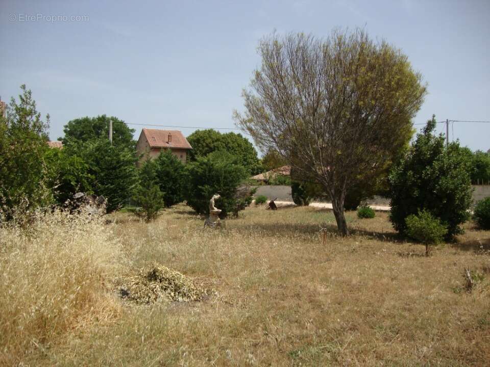 Terrain à LA CRAU