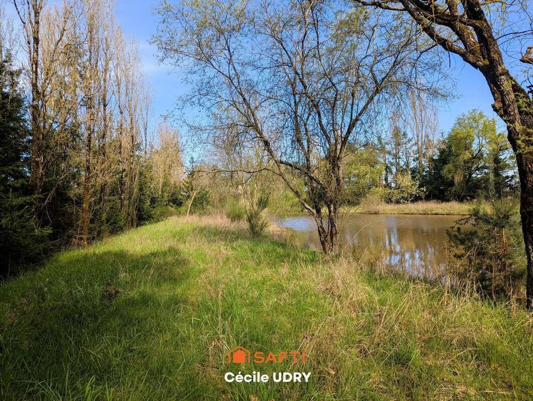 Photo 4 - Terrain à ATHEE-SUR-CHER