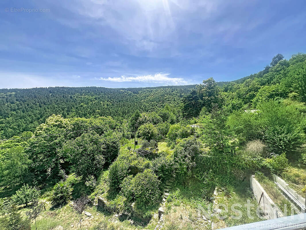 Maison de caractère à Saint-Martin-de-Boubaux ? 150 m², 1,8 ha, dépendance et vue sur les Cévennes - photo 17