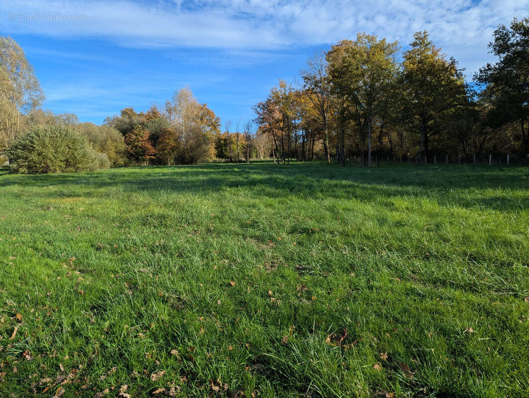 Terrain à LE CHATELET