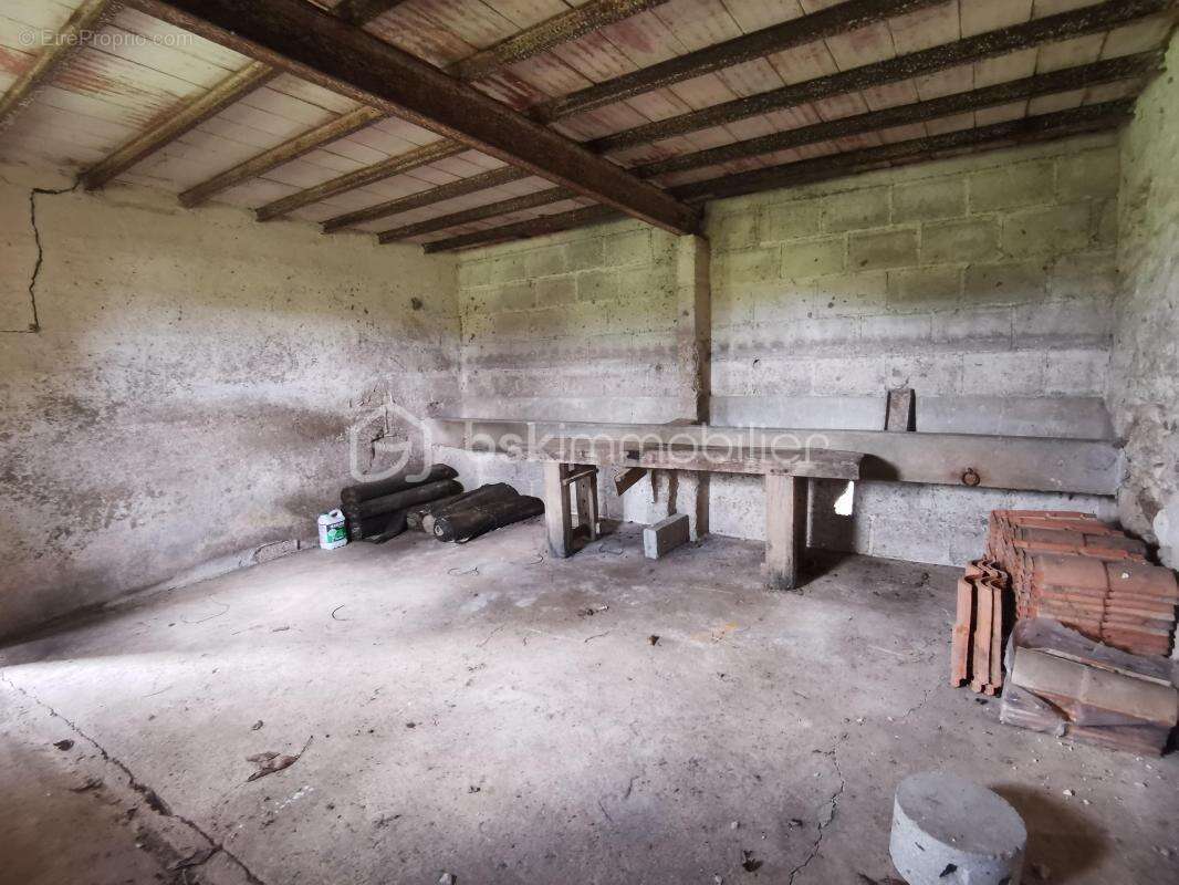 Terrain à SAINT-GEORGES-LES-BAILLARGEAUX