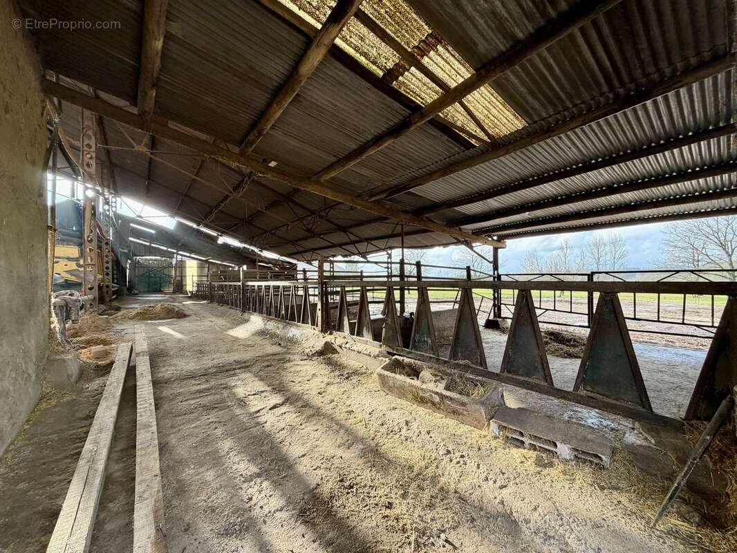 Maison à FENNEVILLER