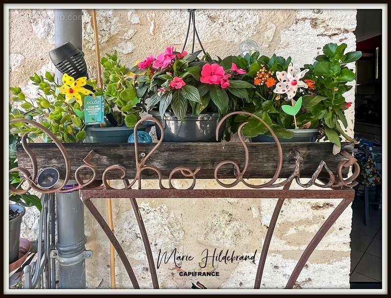 Maison à SAINT-CLAR