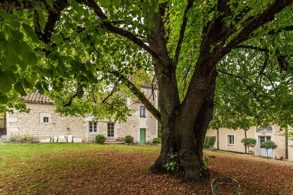 Country property with gites, 2 pools, atelier - photo 22
