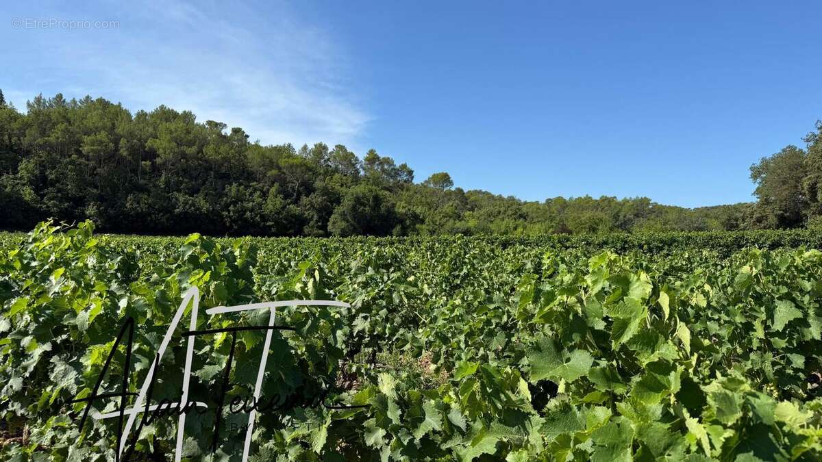 Photo 4 - Terrain à LE THORONET