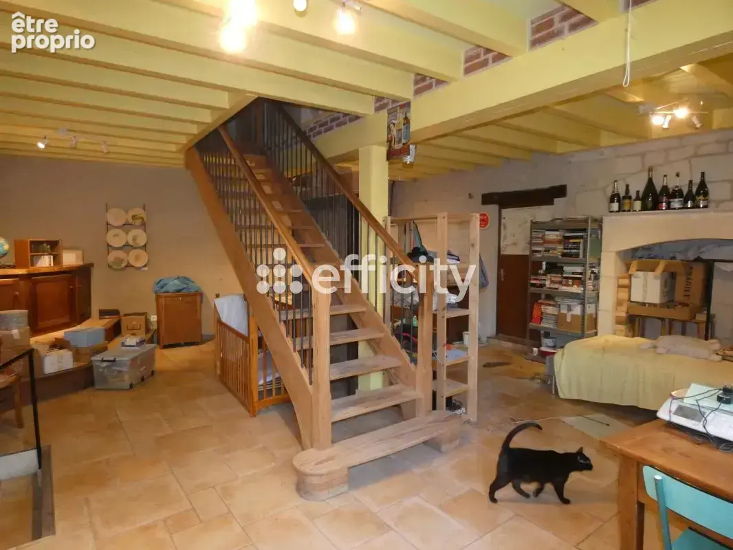 Maison 10 pièces 307 m² à vendre à Charroux (03140) - photo 3
