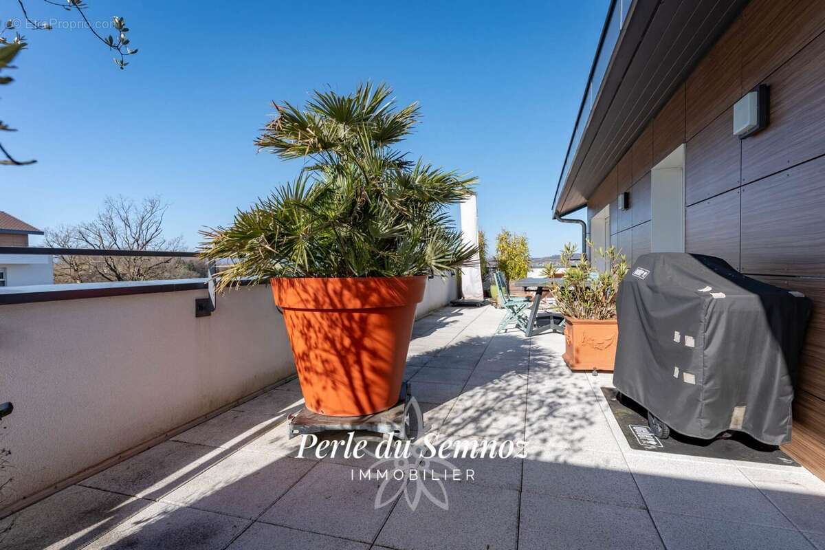 Appartement à SEYNOD