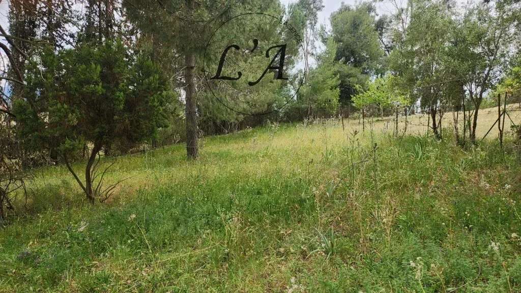 AFA – Terrain constructible de 1 270 m² – Vue campagne – Libre de constructeur - photo 9