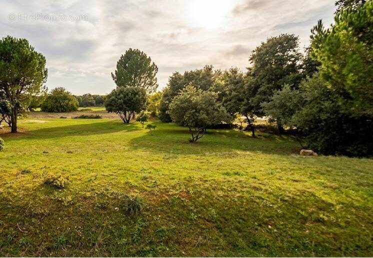 Terrain à LA BASTIDE-D'ENGRAS