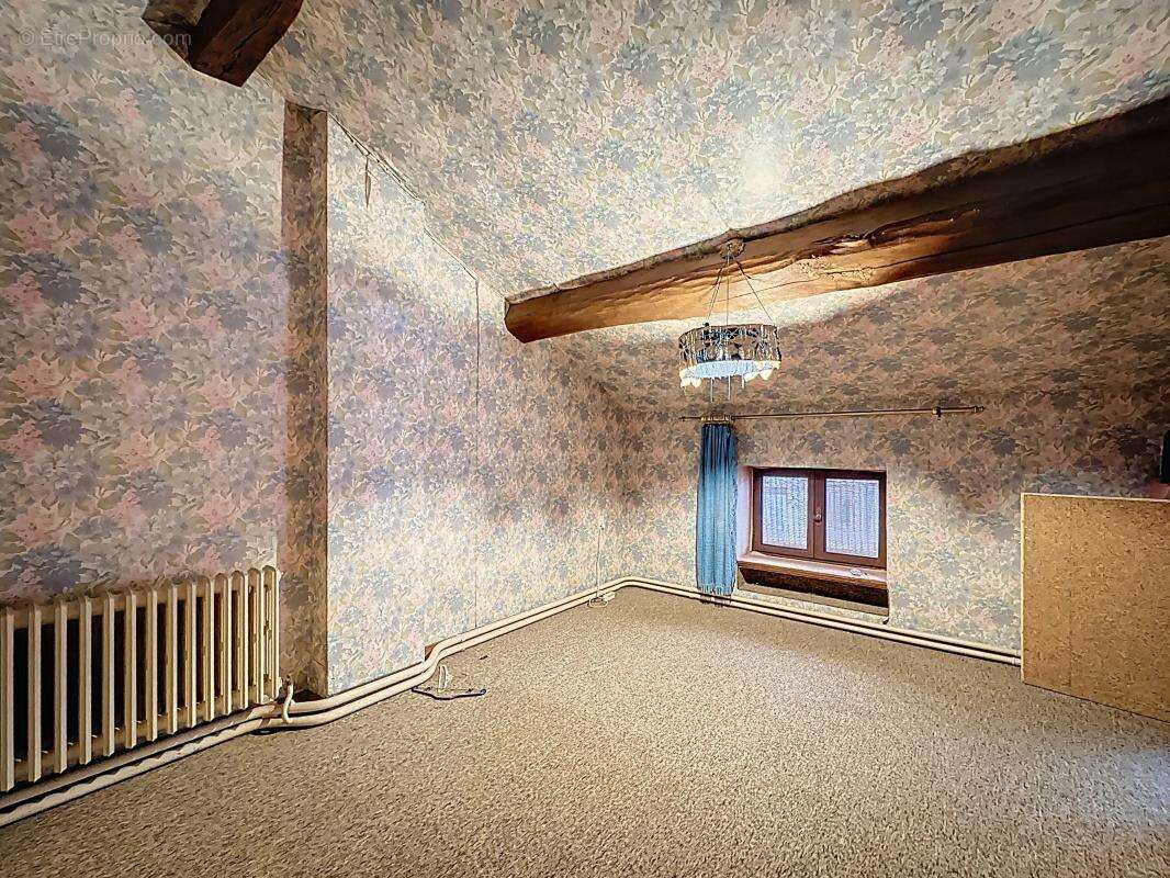 Maison à SATOLAS-ET-BONCE