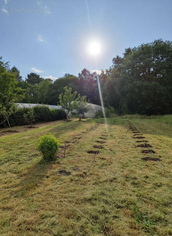 Maison à SALLES 131 m2 sur parcelle agricole de plus de 12000 m² - photo 15