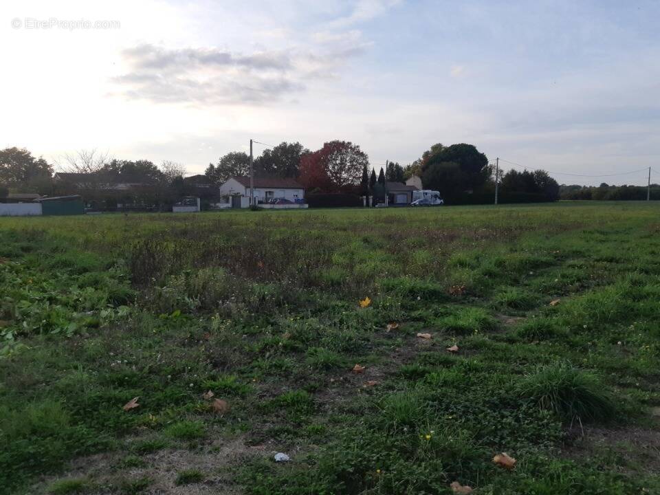 Terrain à CASTELNAU-D&#039;ESTRETEFONDS