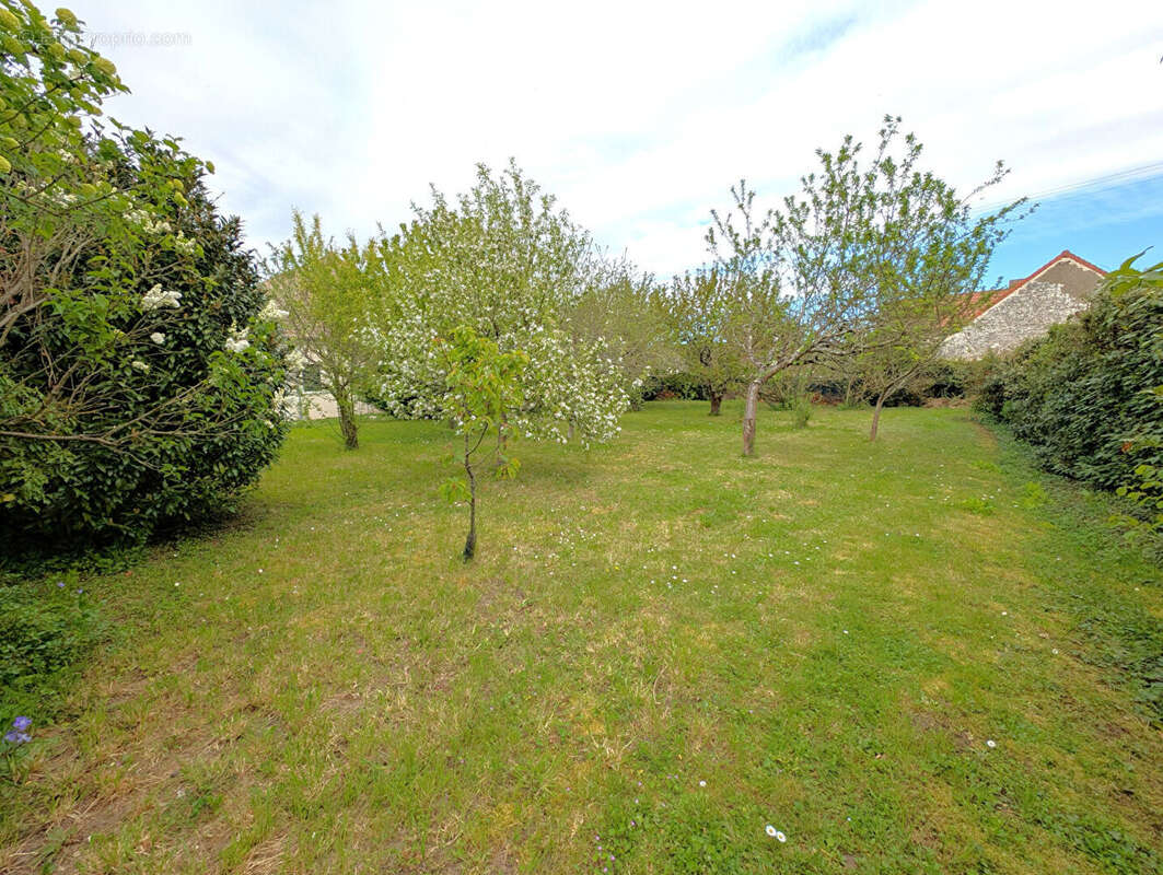 Maison à AILLANT-SUR-THOLON