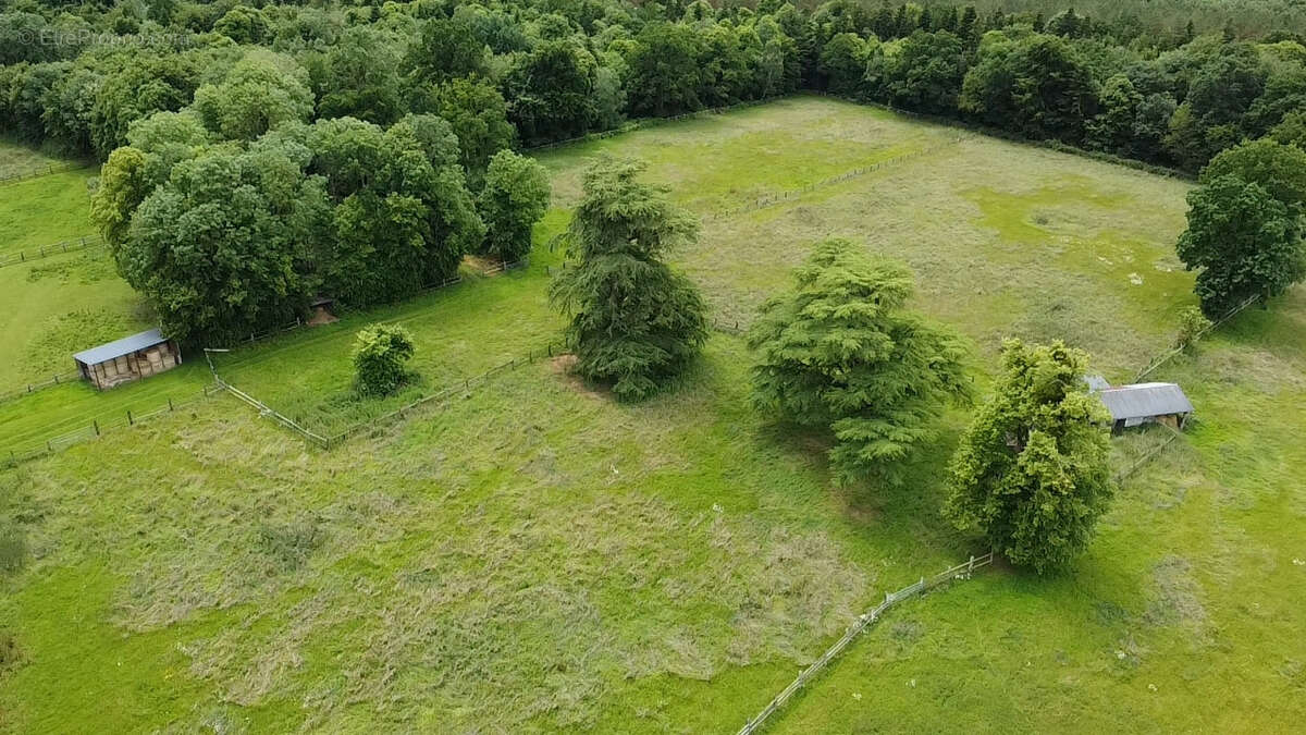 Propriété équestre avec 13 hectares - photo 43