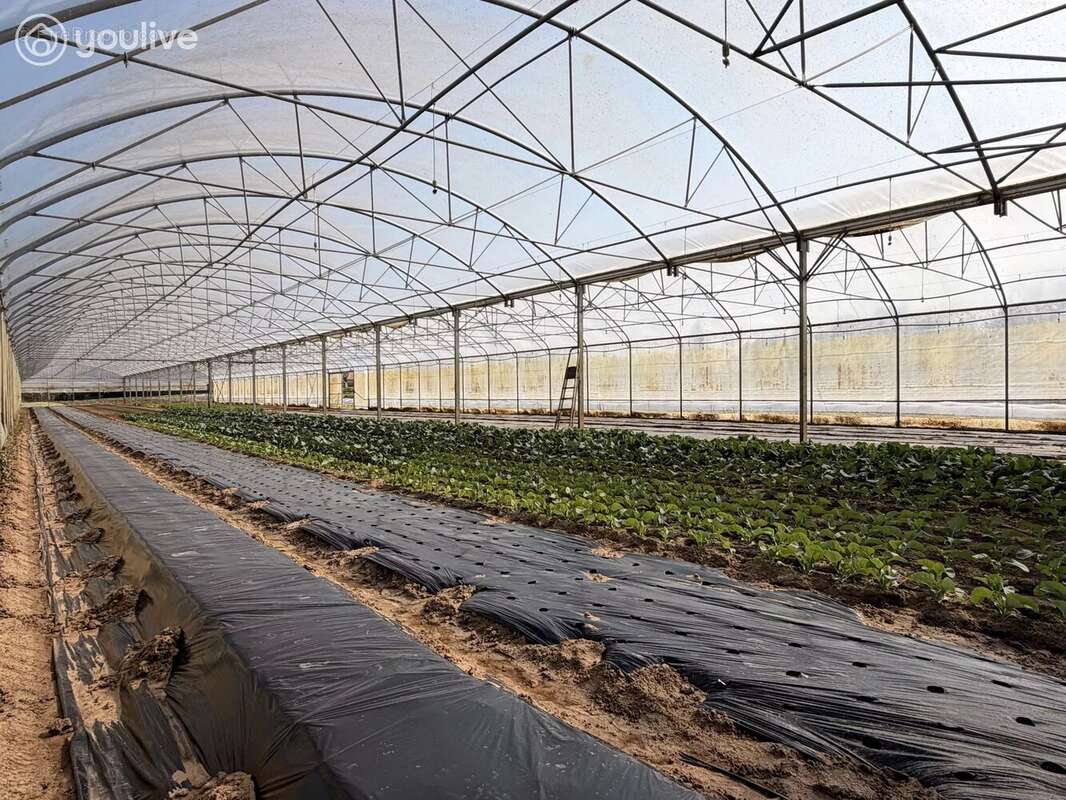 Terrain à MACHECOUL