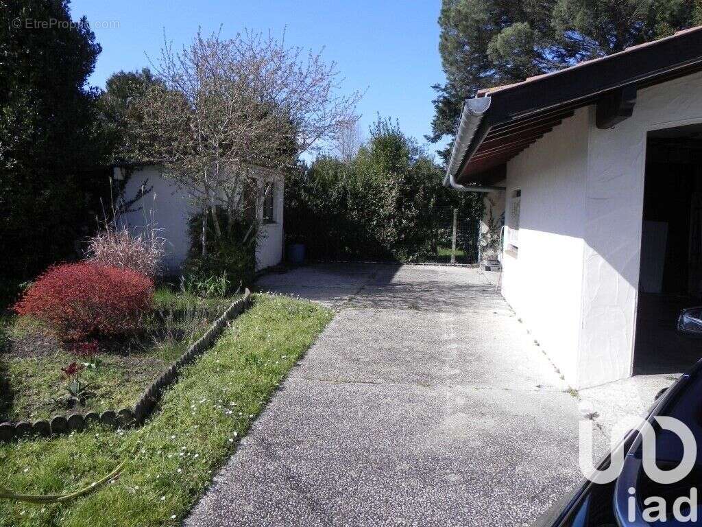 Photo 9 - Maison à SAINT-VINCENT-DE-TYROSSE