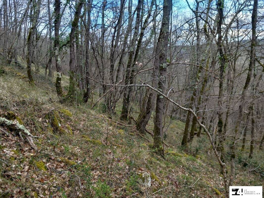 Terrain à SAINT-MICHEL