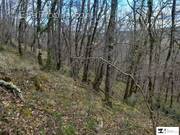 Terrain à SAINT-MICHEL