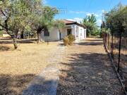 Maison à SAINT-HILAIRE