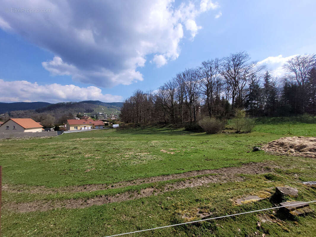 Terrain à RAMONCHAMP