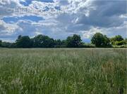 Terrain à SABLE-SUR-SARTHE