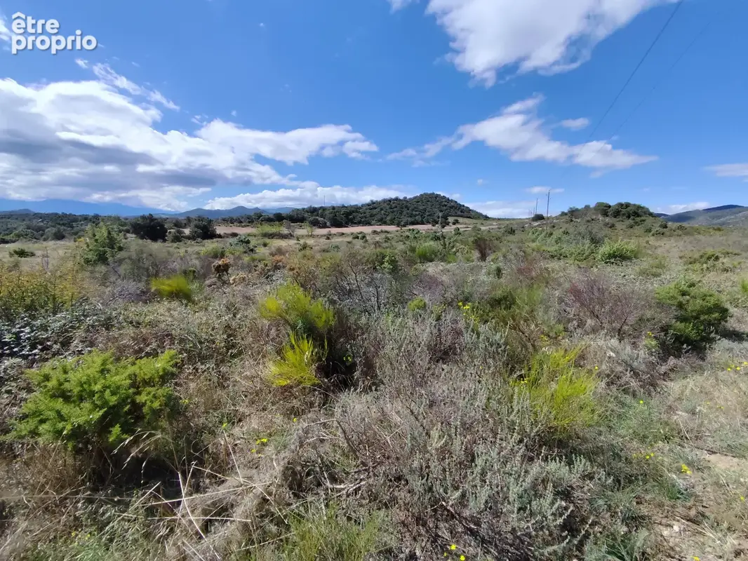 Montalba-le-chateau - terrain agricole 10 695 m2 - photo 2
