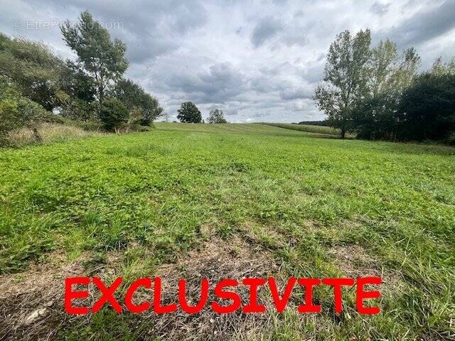 Terrain à RAMOUS