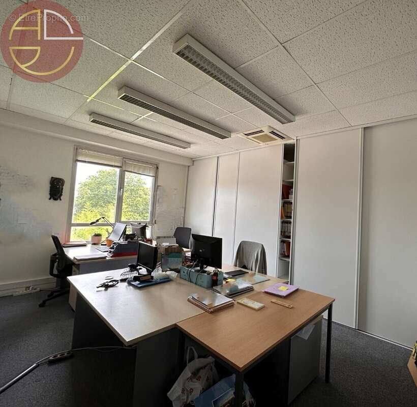 Commerce 806 m² à Toulouse  - photo 2