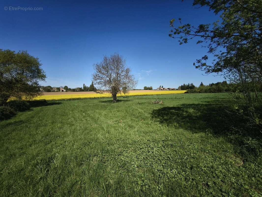 Maison à L'HERMENAULT