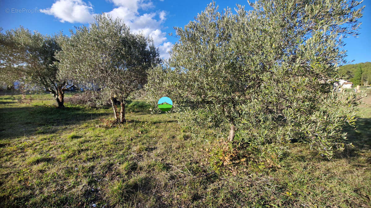 Terrain à CAROMB