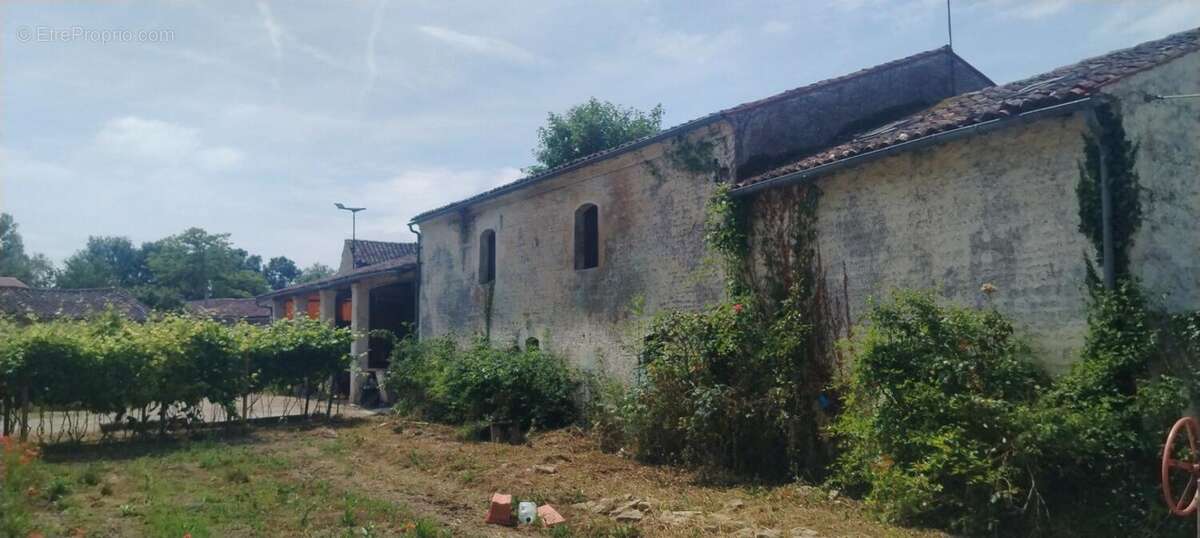 Photo 4 - Maison à MONS