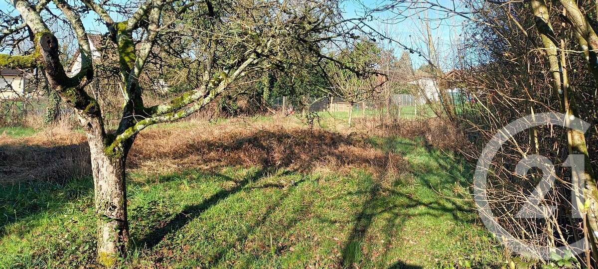 Terrain à BELLECHAUME