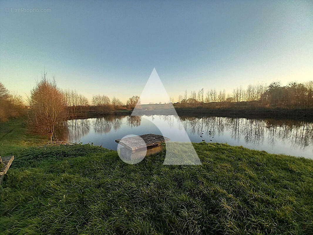 Terrain à BERLAIMONT