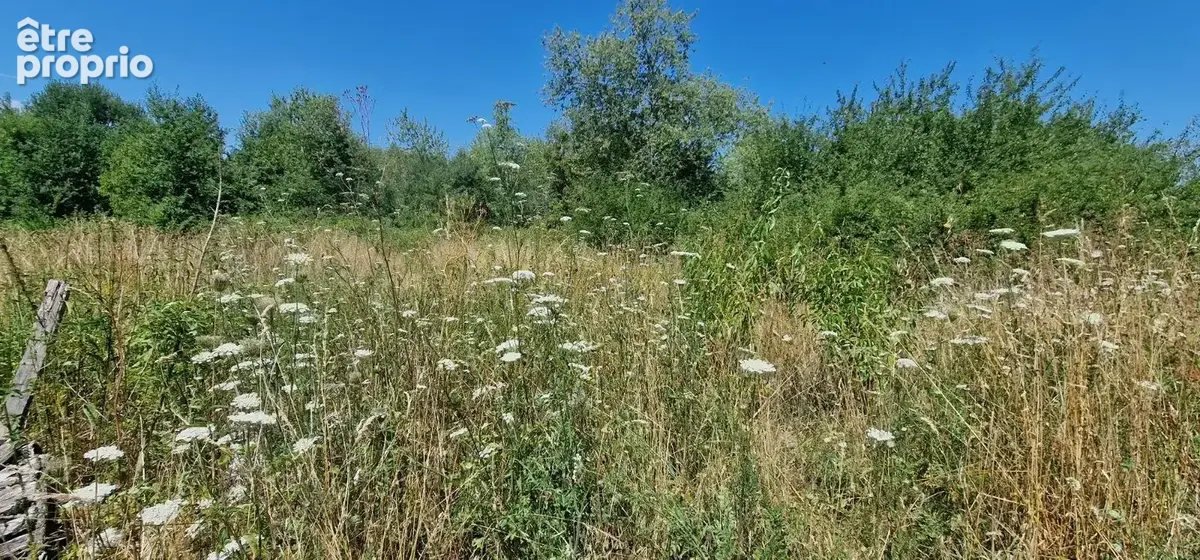 Maison 3 pièces 80 m² à vendre à Louhans (71500) - photo 3