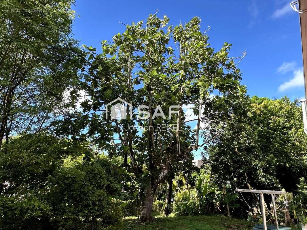 Photo 4 - Maison à FORT-DE-FRANCE