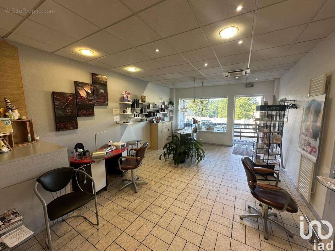 Photo 3 - Commerce à ROPPENTZWILLER