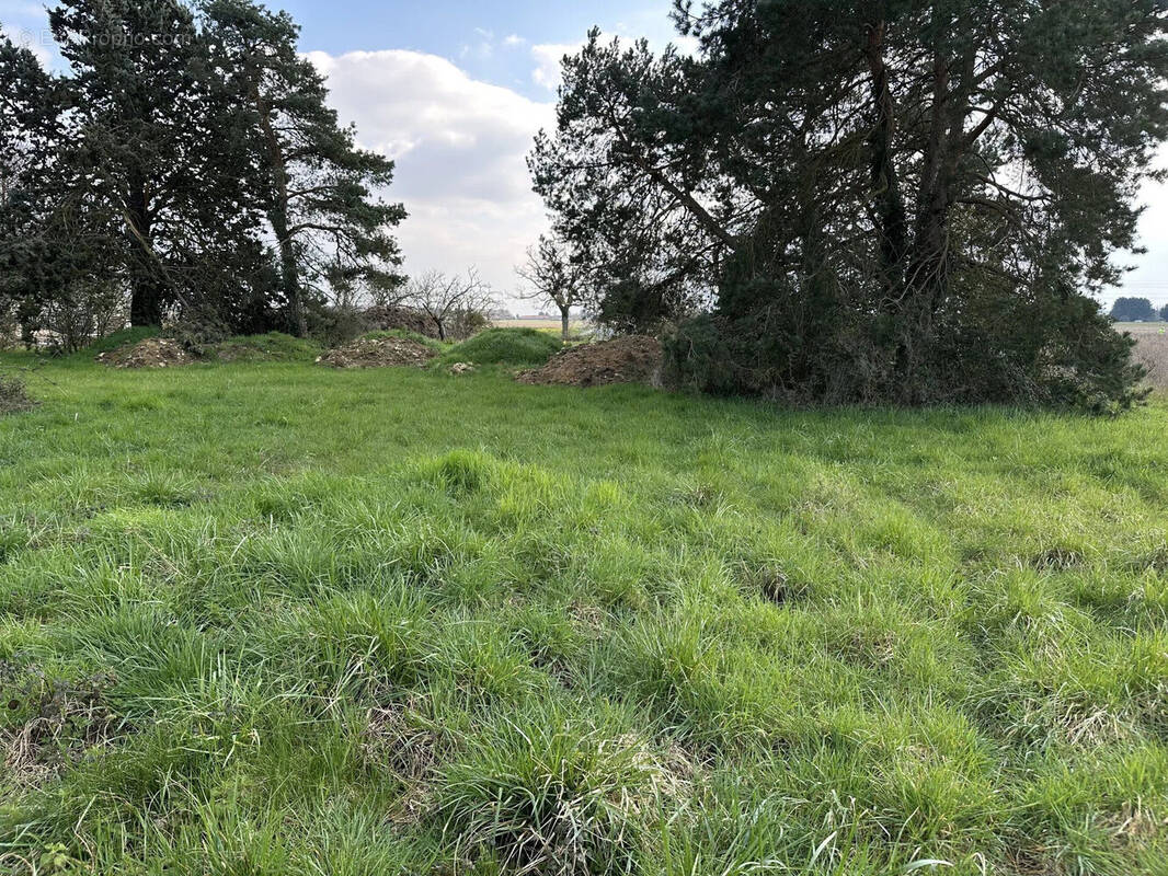 Terrain à ATHEE-SUR-CHER