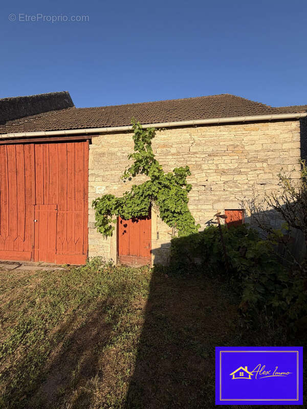 Maison 235 m² à Sainte-Marie-La-Blanche  - photo 8
