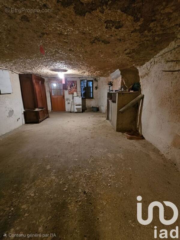 Photo 1 - Maison à LANGEAIS