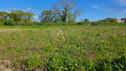 Terrain à LOIRE-LES-MARAIS