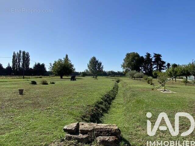Photo 6 - Maison à COURTHEZON