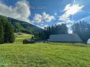 Commerce à SAINT-LEGER-LES-MELEZES